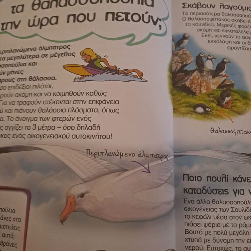 Book The First Book of Questions and Answers like new