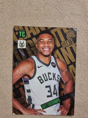 Giannis Antetokounmpo Holo Giants Panini Top Class near mint