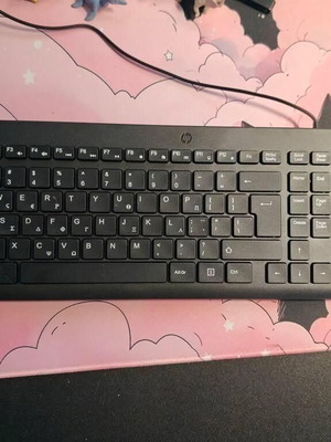HP Keyboard 150 Wired New