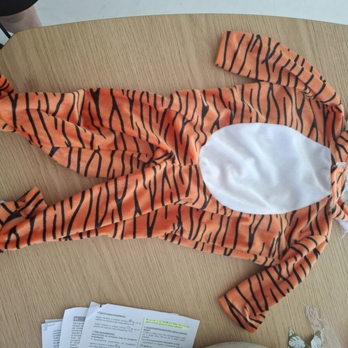 Tiger costume for baby like new