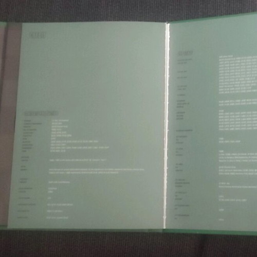 Stray Kids Christmas Evel Green version like new