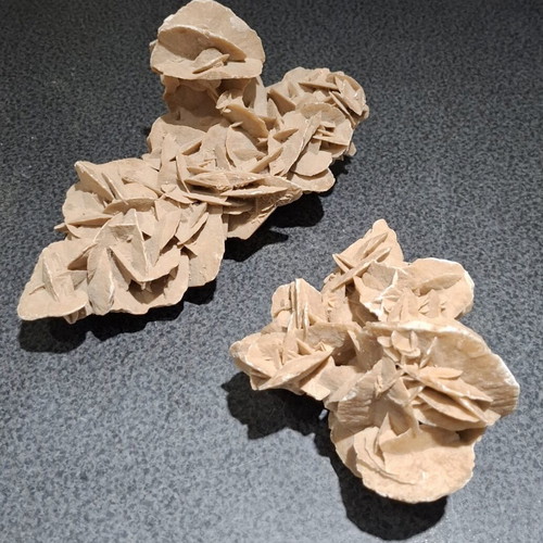 Desert Rose Collection (2 Rare Mineral Pieces - 1.16kg Total)