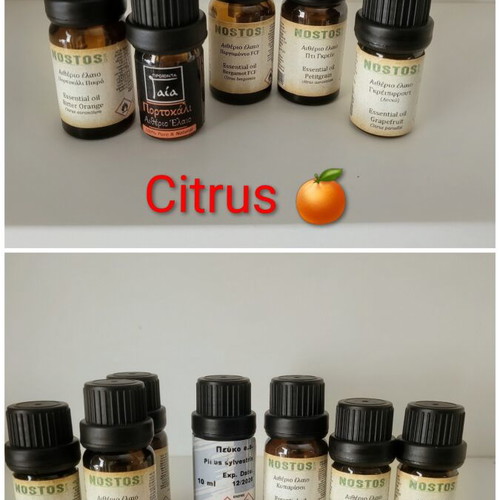 Complete Perfumery Kit with Essential Oils and Equipment, new