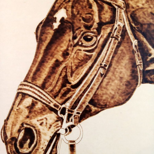 Horse portrait pyrography painting on linden wood