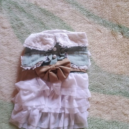 Clothing for small dog new