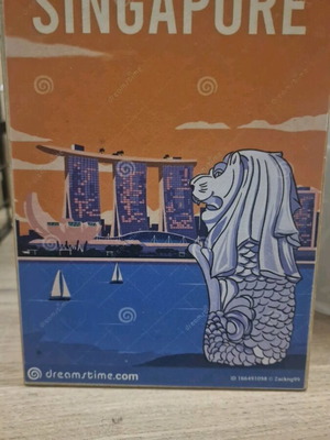 Wooden decorative sign Singapore like new