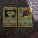 Pokemon cards new
