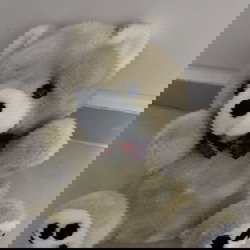 Λούτρινο αρκουδάκι σε άριστη κατάσταση