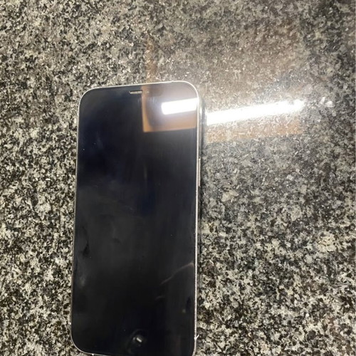 iPhone 12 Pro Max with metal case