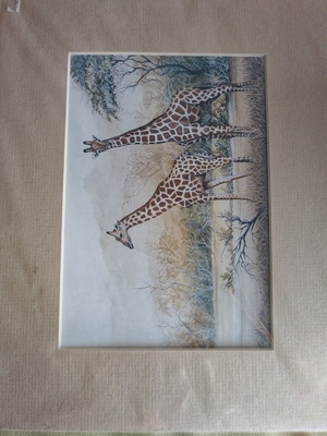 South African paintings new, set of 2 pieces