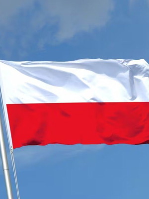 Polyester Flag of Poland 90×150 cm new