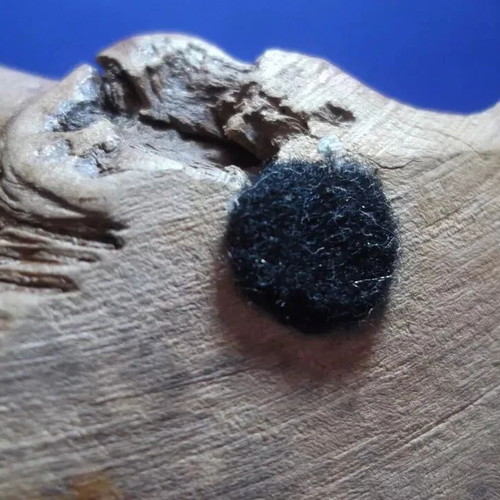Vintage John Perry sculpture with 2 white dolphins, like new, wood