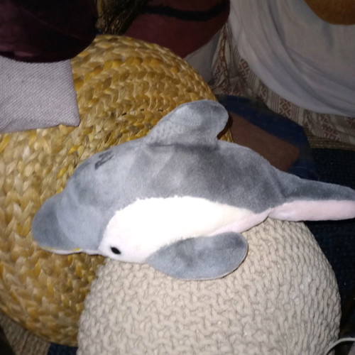 Plush dolphin new, can be used as a pillow