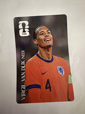 Virgil van Dijk Panini FIFA World Cup 2026 collectible sticker new