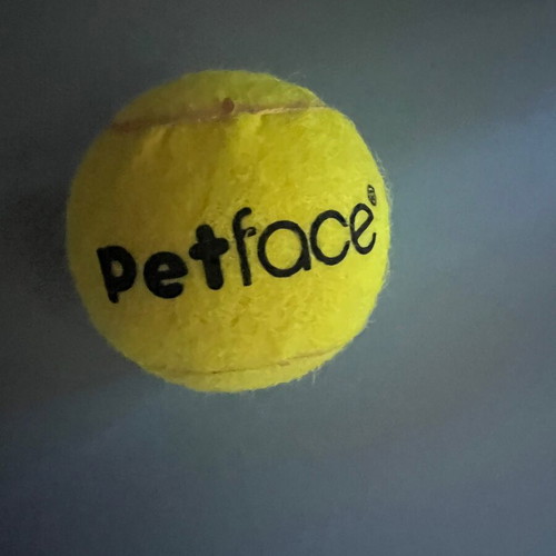 Dog clothes size XS new with free ball gift