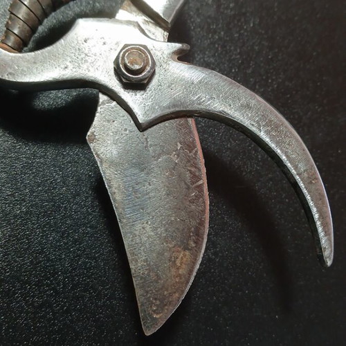 Old pruning shears used