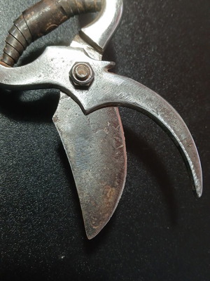 Old pruning shears used