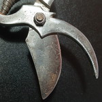 Old pruning shears used