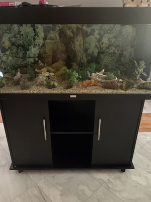 Juwel Rio 240 Aquarium like new