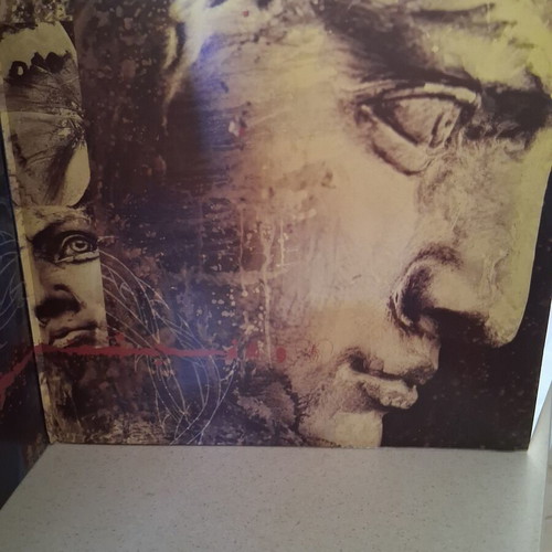 Paradise Lost Icon double vinyl gatefold, like new metal album