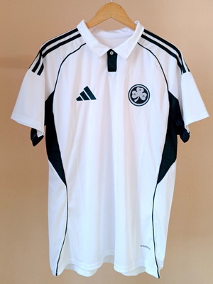 Panathinaikos away jersey 25/26 Tetê #10 size L