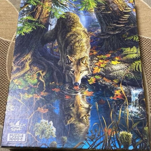 Puzzle new with 1000 pieces