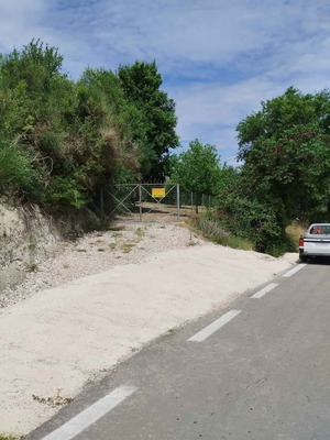 Ελαιώνας παραγωγικός 10.000 τ.μ. με 119 υγιή δέντρα στην Αιτωλοακαρνανία