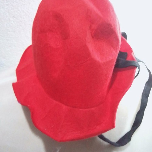 Pandigton carnival hat used