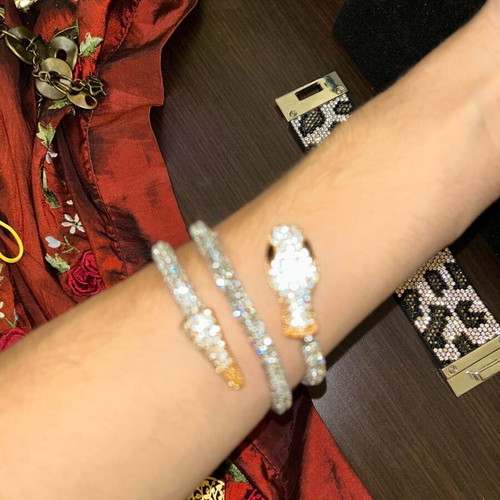 Bracelets new, set with snake bracelet