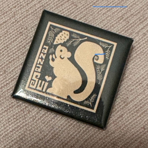 Anna Sui NY collectible pin like new