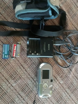 Sony camera used with rechargeable batteries, charger, memory card, and case