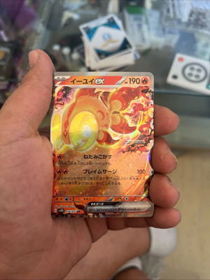 Pokemon card Eyuy EX new