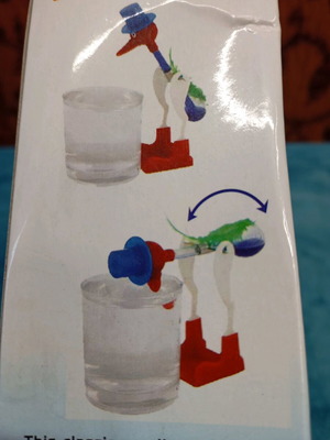 Vintage thermodynamic bird toy used