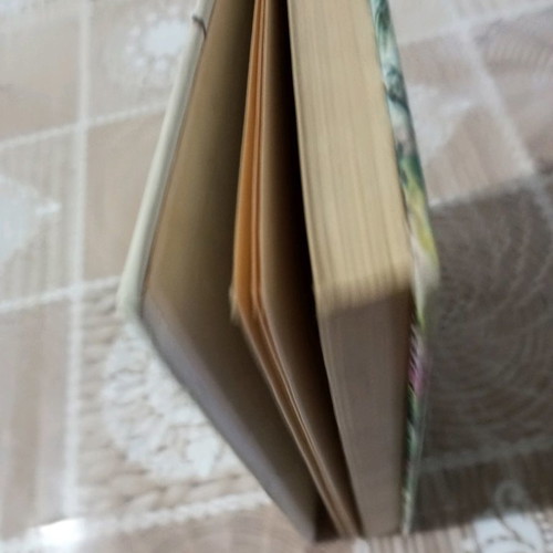 Robin Hood children's book used in very good condition