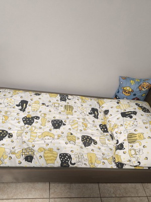 Crib bed like new, converts to preteen beds
