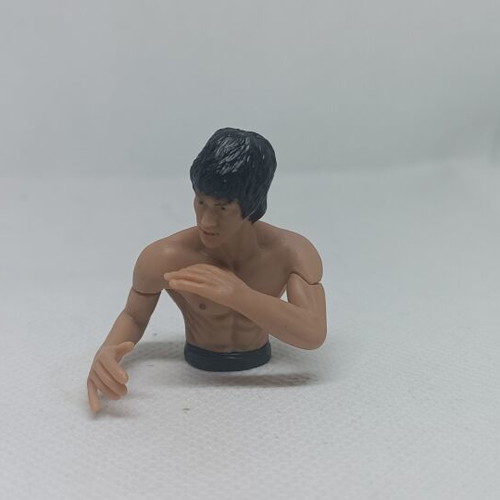 Bruce Lee Mini Busts Set of 5 DyDo Blend Japan