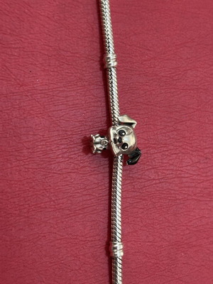 Pandora doggy charm