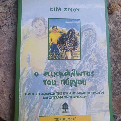 Book novel like new