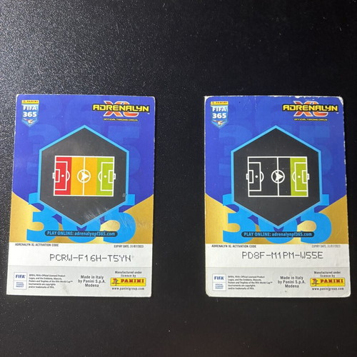 Panini FIFA 365 Invincible and Vinicius Jr Top Master Rare Cards like new