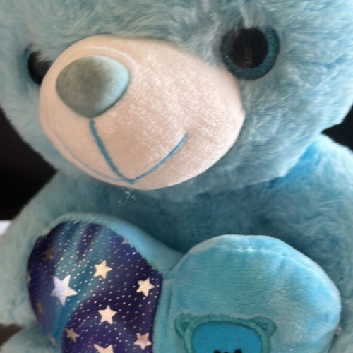 Blue pentamorfo teddy bear like new for play