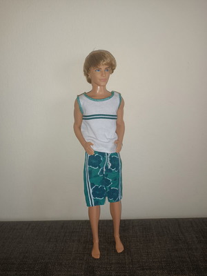 Ken Barbie Beach Cruiser doll with Fashion Avenue set