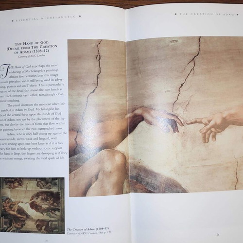 Essential Michelangelo Vintage Art Book like new