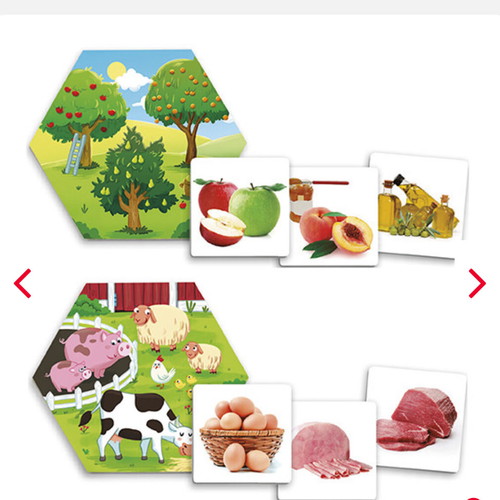 Board game Where Does Food Come From? like new