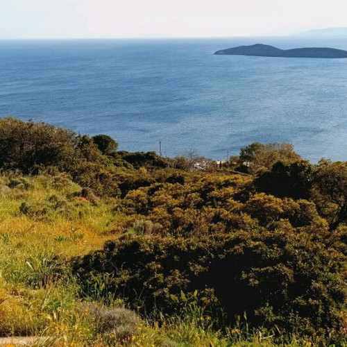 Andros Land Plots 4 Stremmata with Spring and View, Buildable