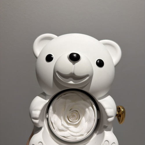 Jewelry box teddy new, gift packaging and decorative storage
