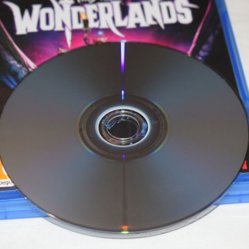 Tiny Tina’s Wonderlands PS4 game
