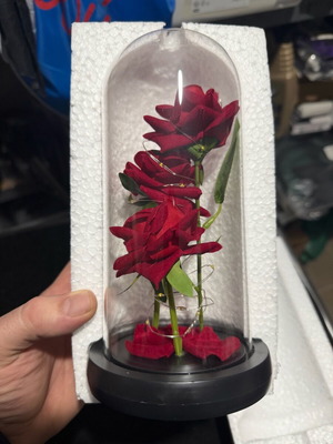 Roses in glass dome with LED new, gift for Valentine's Day