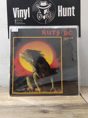Ruts DC Animal Now LP used, punk