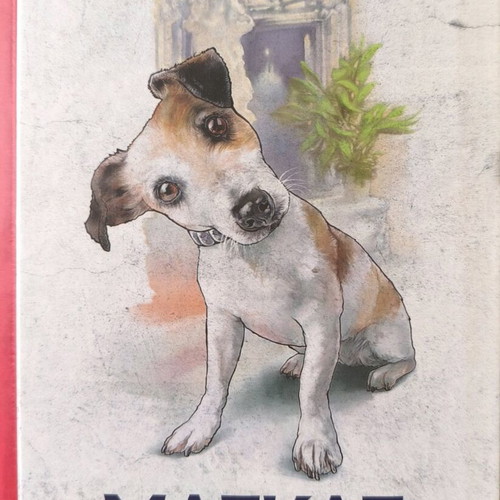 The Magkas by Pinelopi Delta hardcover edition new