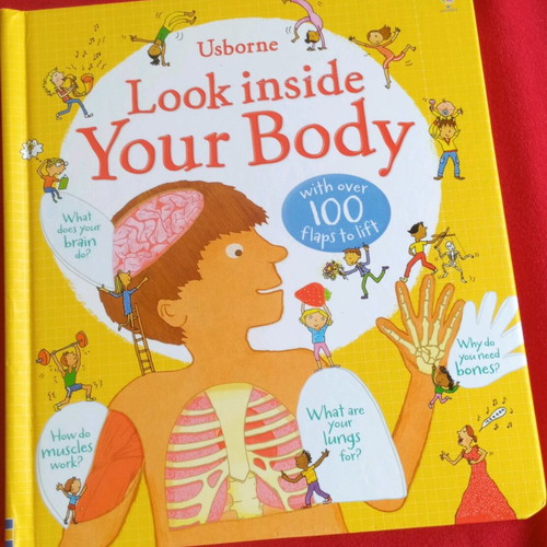 Children's book Look inside your body like new, English